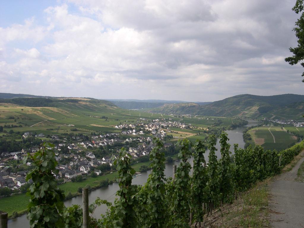 Juffer Flair Restaurant Gaestehaus Brauneberg Kültér fotó