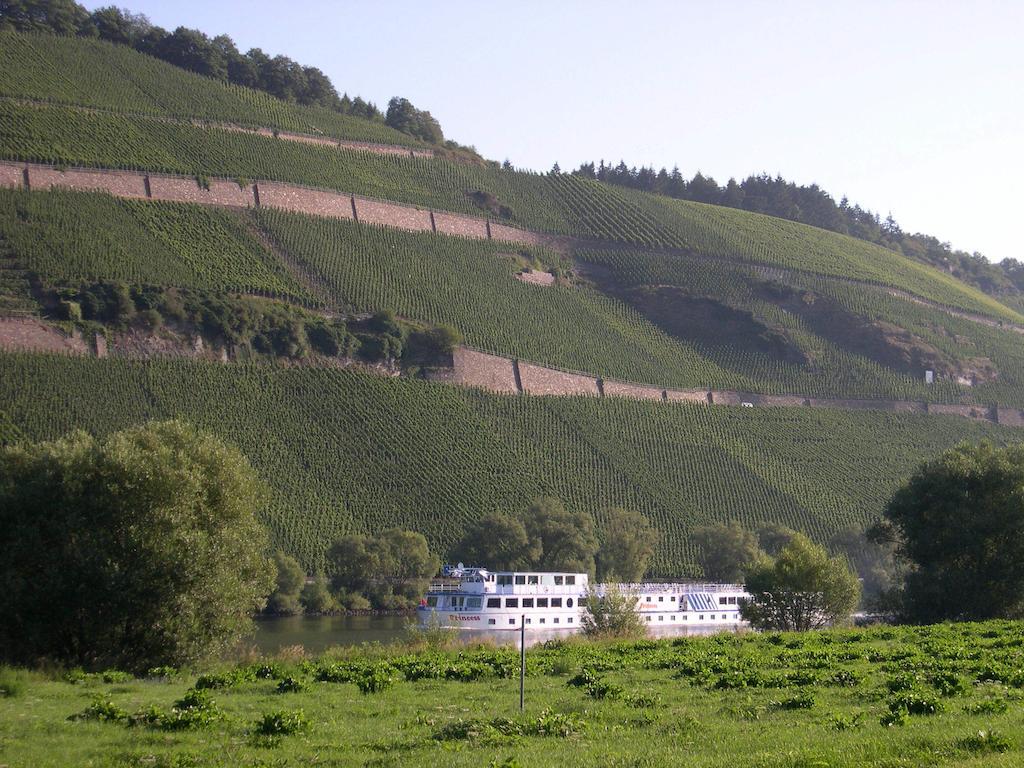 Juffer Flair Restaurant Gaestehaus Brauneberg Kültér fotó